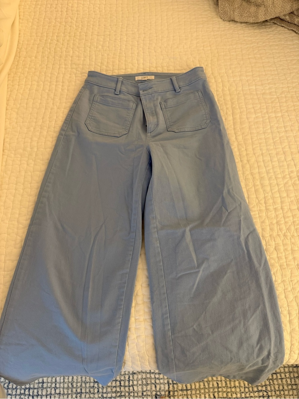 LOFT The Palmer Wide Leg Pants - Baby Blue